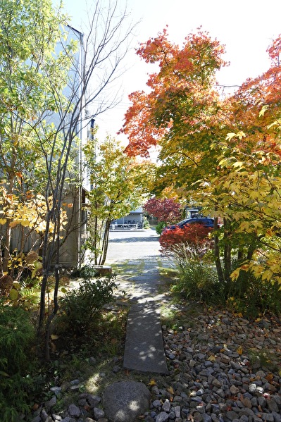 pr9T02D09stGcl81667714799