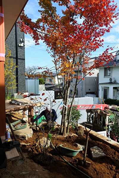 q60R8Bmsa3jrSb41668140201