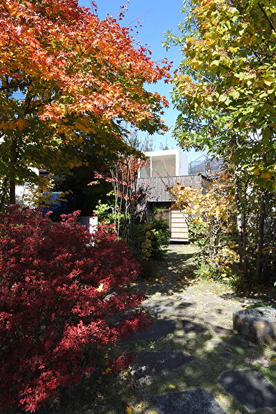 ujj6Vz0hGTRXneW1667714856