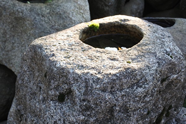 n1pkEqwzi36sGT51672219334