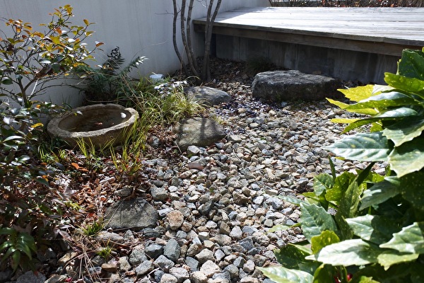 H1MIa3HJrgbFwSP1676797526