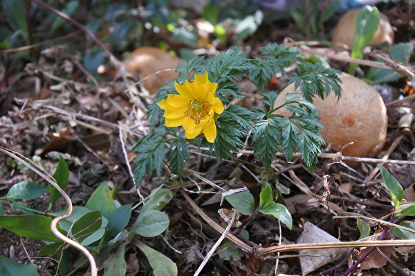 bcHsWR5mjfdhJvj1678151957