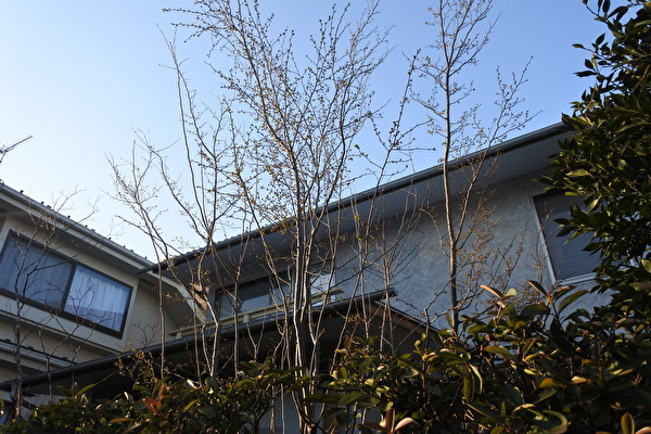 qIzBG7x0hWUlgzu1678151974