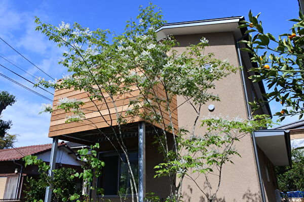 芽吹きにホッとする春