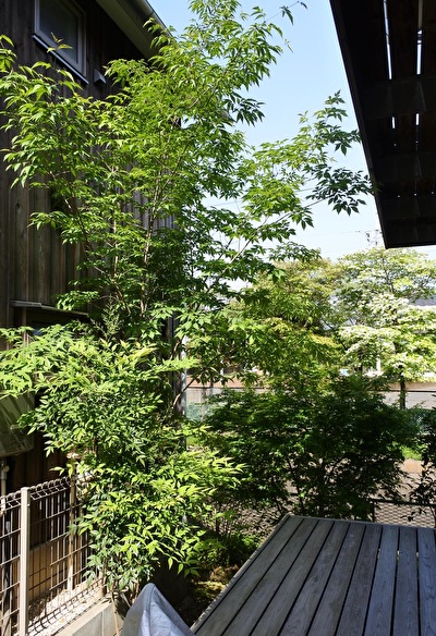 VrzukoB96BgzreR1682409281