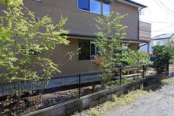 cvlKkBlhNSVuoLB1680933203