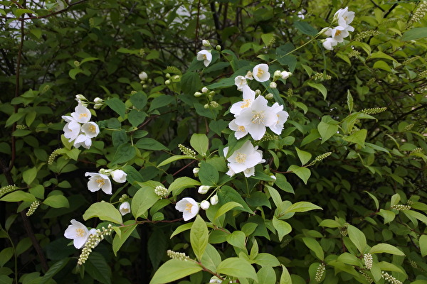 sE2N4OOZsAyezR61682121508