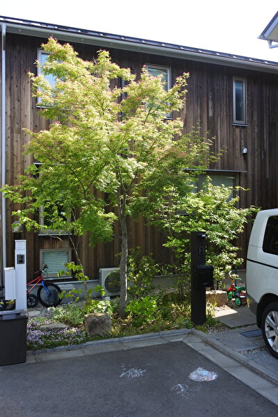 xq3RBVSkUnWU8qV1682409351