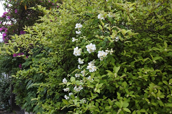 zArPDBc1l1c3pGP1682121524