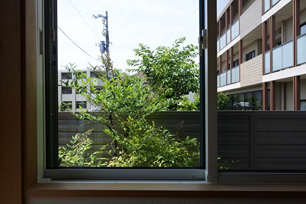 l3FBrE8UcKHaWqV1685163393