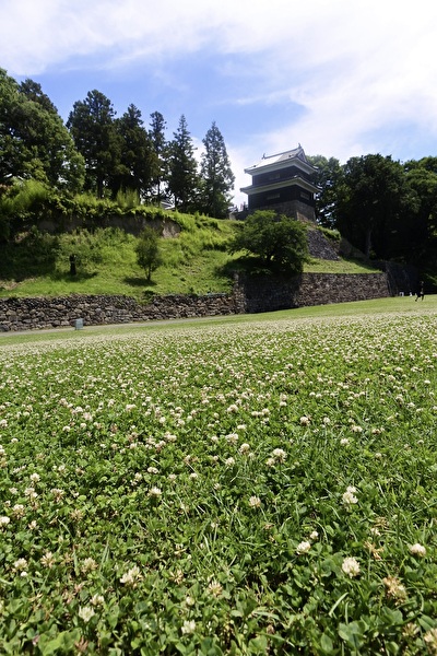 IlTvePyjy9QhWOp1687070903