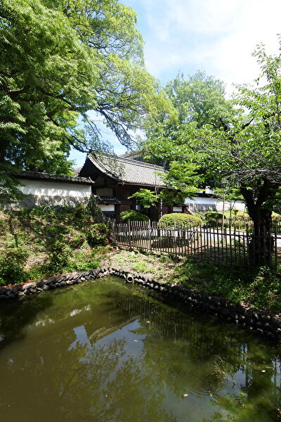 kdjSjoSQOkFdQr91687070811