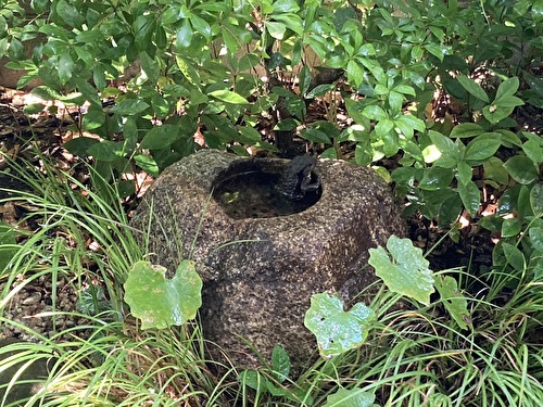 7s1PWQW30p83sij1689147896