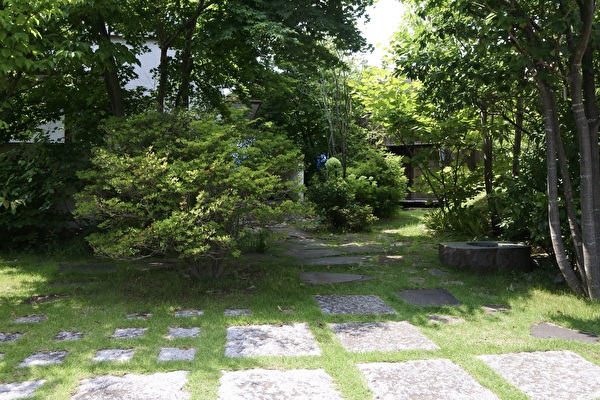 BwByo0takGfA8k11688369317