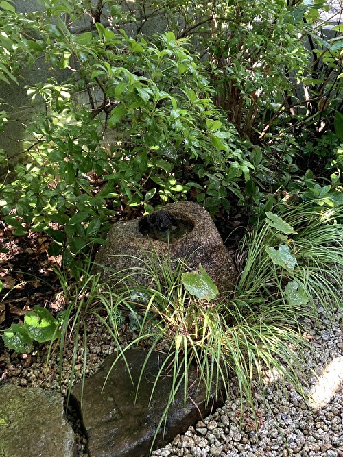 EAkyqjfhVw6fLOw1689147854