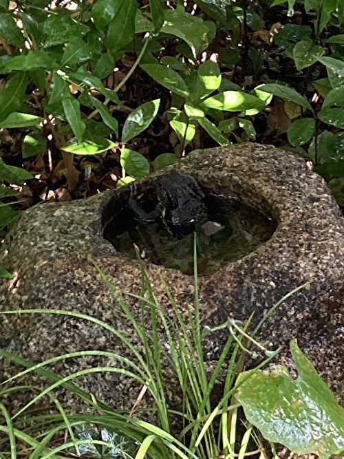 KWdZH2sXiMHnnJv1689147872