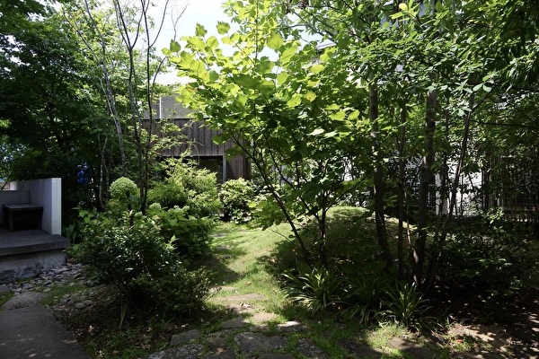 Mheih9kw411pXKB1688369230