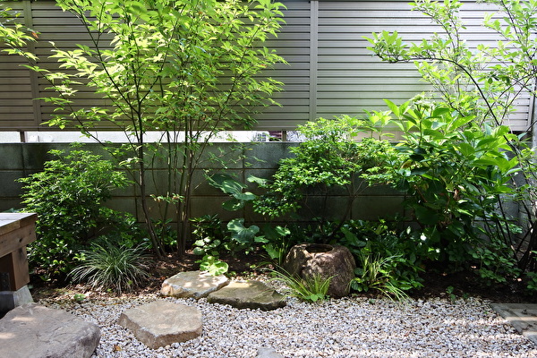 カエルは帰る。