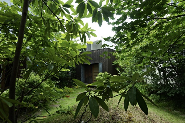 YsM6FBs9rTp8pQa1688369245