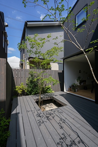 t7bLVkKOHC1VJed1689840707