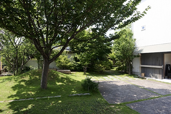 uFkFlbkXWulkEs81688369267