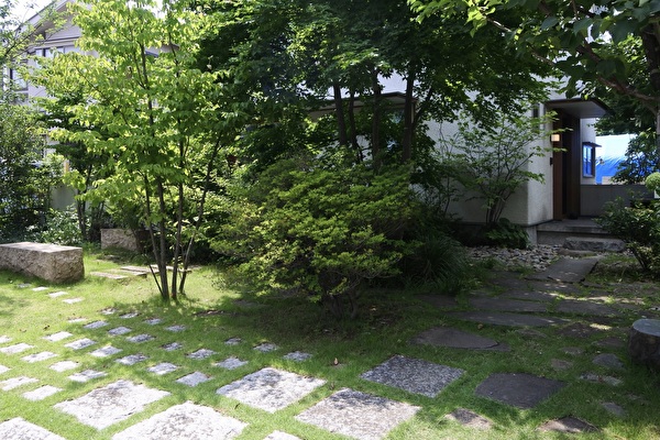 wnCPsd6yEVY9plx1688369298