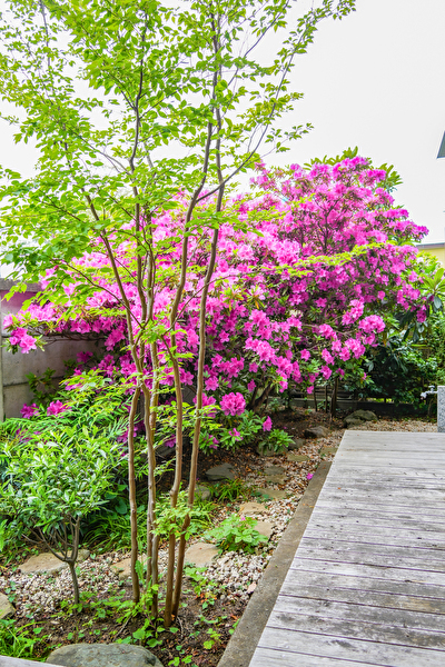 Ajldu098dMLX5QQ1691739723