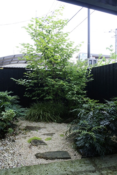 Jaqbd3GJJvrl0x71691544177