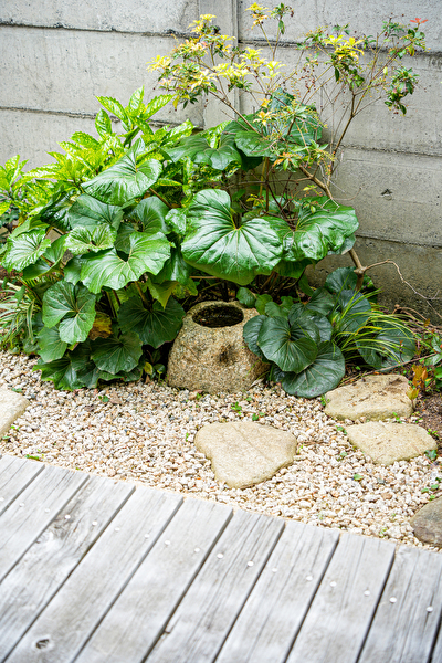 KipJVbtZ7urXoW41691741334