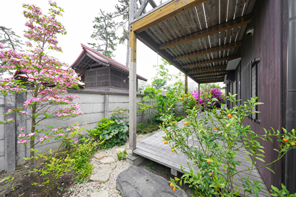 NFFlK4AxZDAeUni1691739586