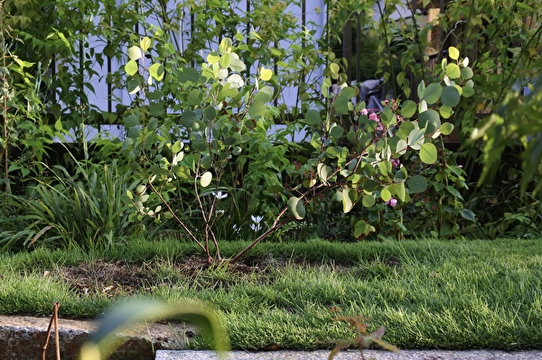 UmablinXWCt4GWG1692255511