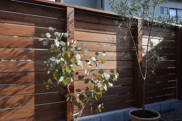 W1FejQnEdxeltpf1692257316