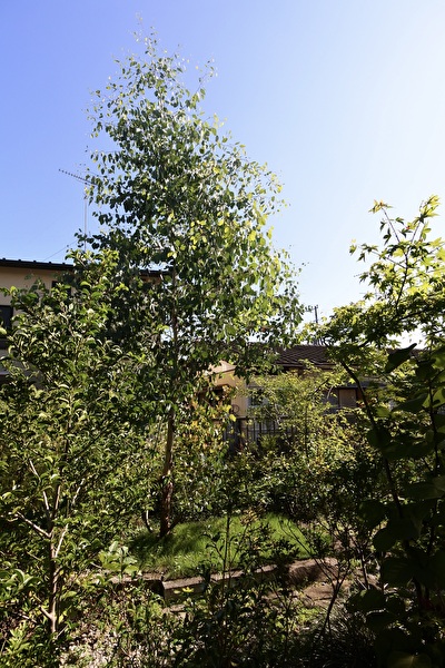 cxI8l5q5S1k8oIQ1692260211