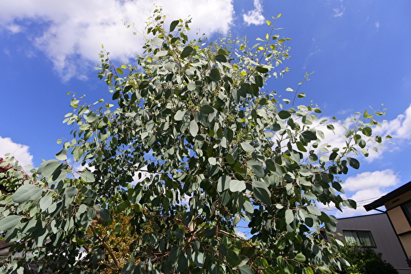 u9925QJLrEXzM0e1692257465