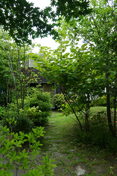 xTORBYrPO3I6WxT1691480096