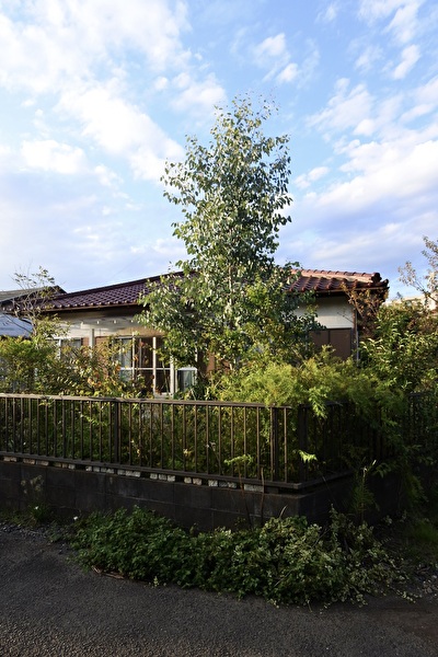 8X12xTRuoualu3w1696749405