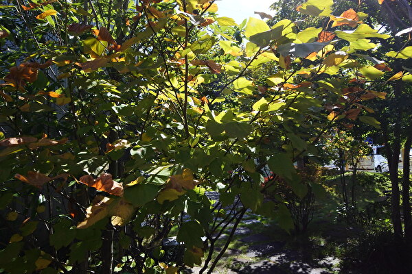 9Rxo1lA9zjRFtRg1698135783