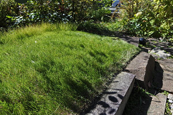 DMEBTN60CnpiCjK1697952840