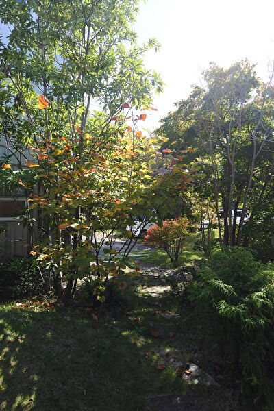 KbP40JZ8f1h3JHJ1698135888