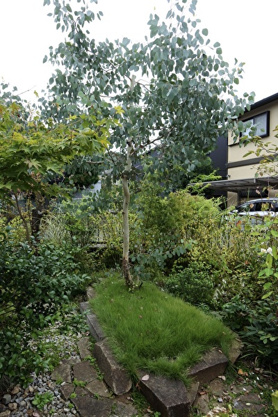 KxrQ6mC20uFWazd1696749473