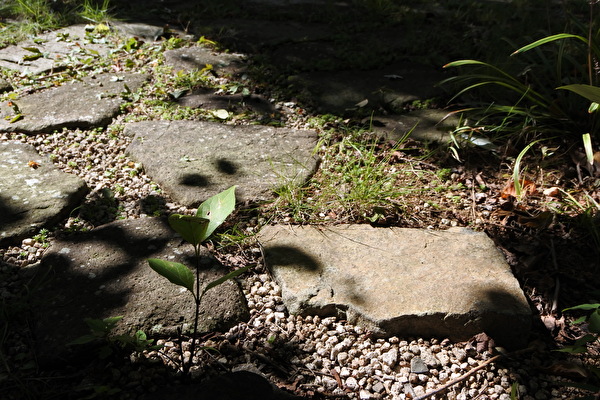 QkElKkU4h0cEy6C1698135839