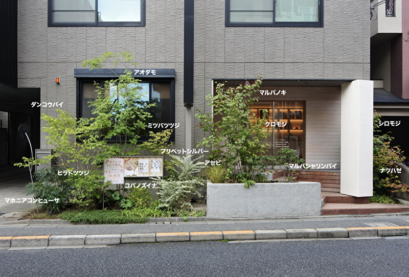 X8nRlR2JE3KB4hp1696490398