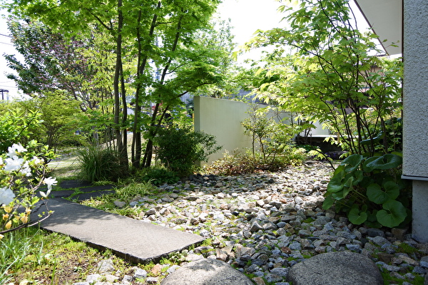 ZwTdLQwihktCRqd1696581891