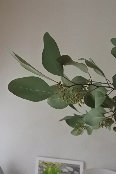 cCSHEPQkpqIzxsQ1696749493