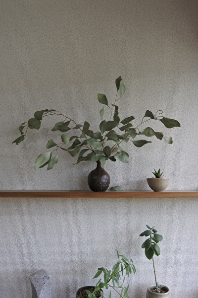 cIJqREAt7yozbLe1696749512