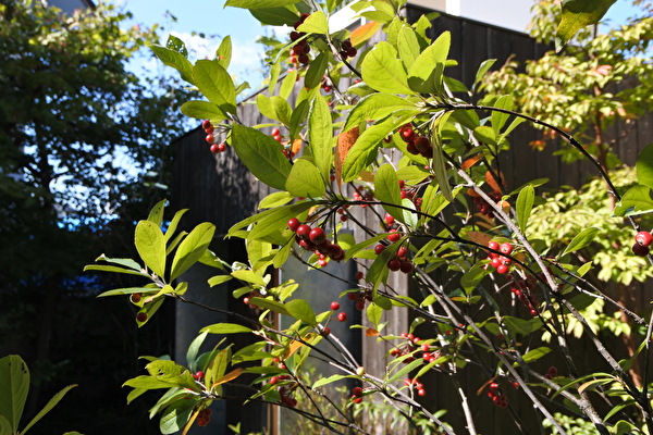 tiFO3sykUXoFsnz1698135819