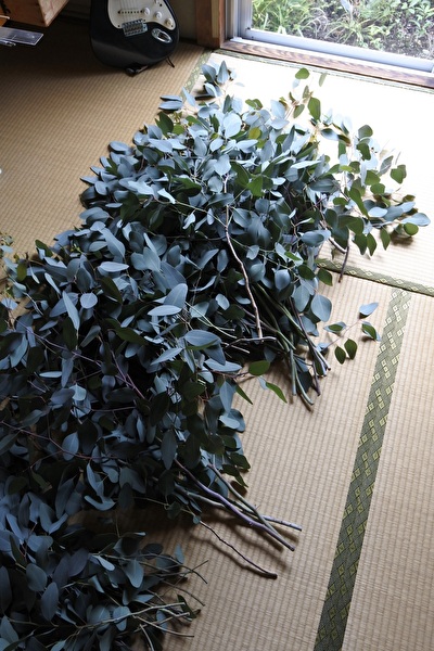 vXagcUNFQ8CDVS21696749453