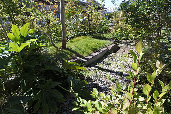 y6kfZOC5vAUtXMu1697952820