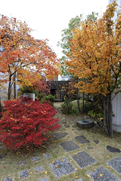 87WggKyPGcuraug1700984632