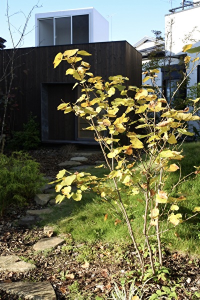 EU7wginIgrUet7G1700354498